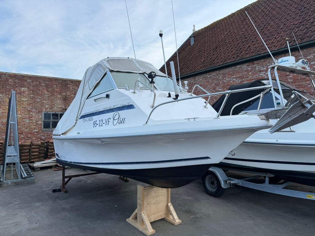 Beekman Beekman Cabin Fish Honda F60, Watersport en Boten, Vis- en Consoleboten, Gebruikt, Polyester, Benzine, 50 tot 70 pk