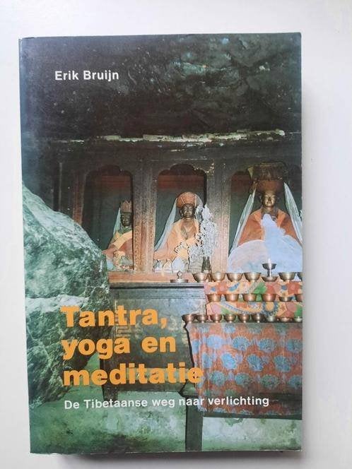 Tantra , yoga en meditatie . Erik Bruijn, Erik Bruijn, Ophalen of Verzenden, Zo goed als nieuw, Meditatie of Yoga
