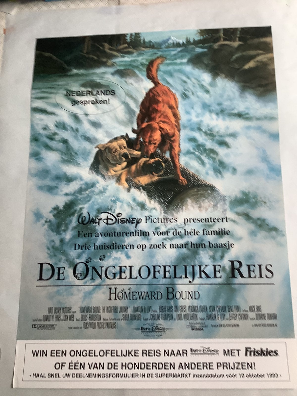 LOT FILMPOSTERS  (22 stuks)   70-100 cm, Verzamelen, Posters, Ophalen of Verzenden, Film en Tv