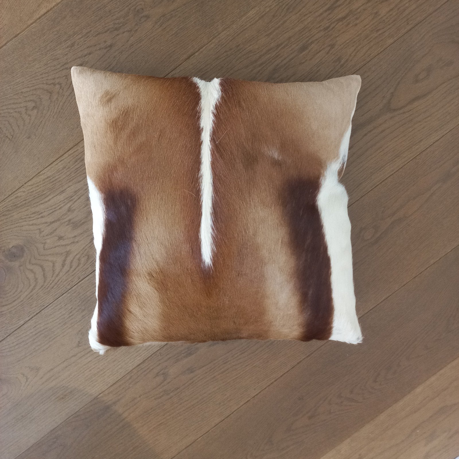 Springbok sierkussen uit Afrika 45x45 cm, Overige merken, Gebruikt, Bruin, Vierkant