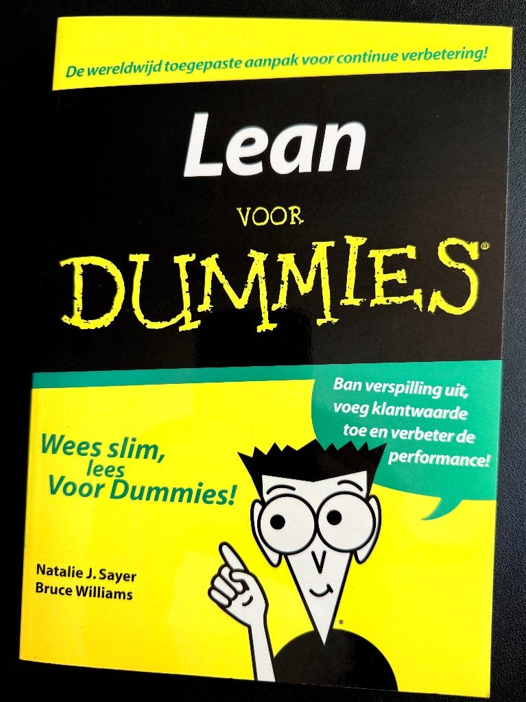 Boek Lean voor Dummies, Natalie J. Sayer, Geld en Beleggen, Nieuw, Ophalen of Verzenden