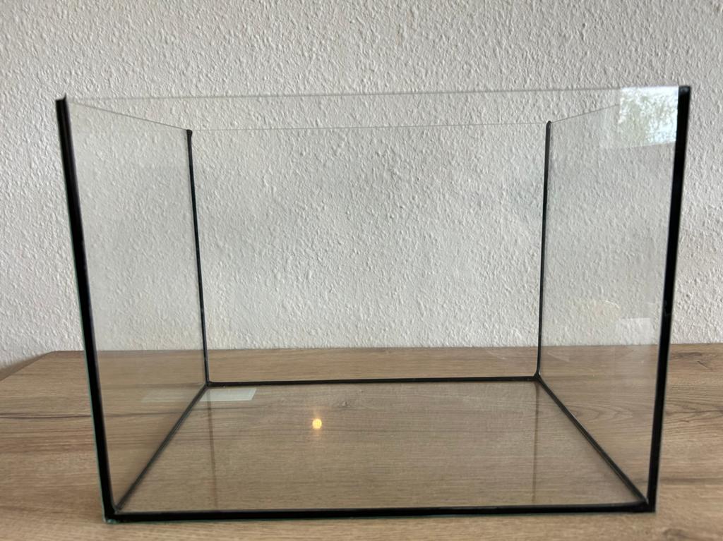 Vissenkom - Starterspakket - Aquarium, Dieren en Toebehoren, Ophalen, Nieuw, Leeg aquarium