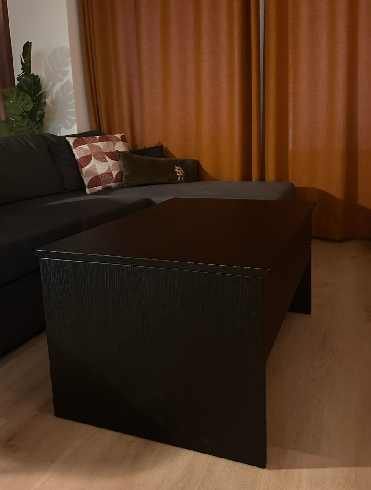 Handige salontafel met opbergruimte, Ophalen, Zo goed als nieuw, Eenpersoons