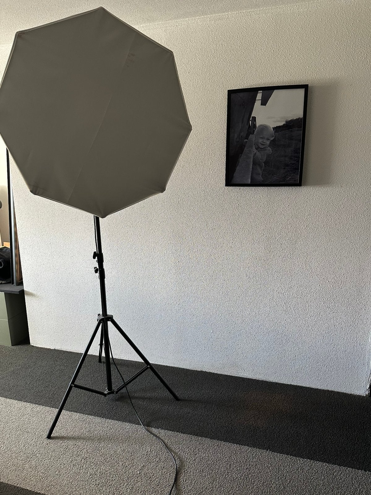 Fotostudio daglicht lampen, Ophalen, Zo goed als nieuw, Complete fotostudio