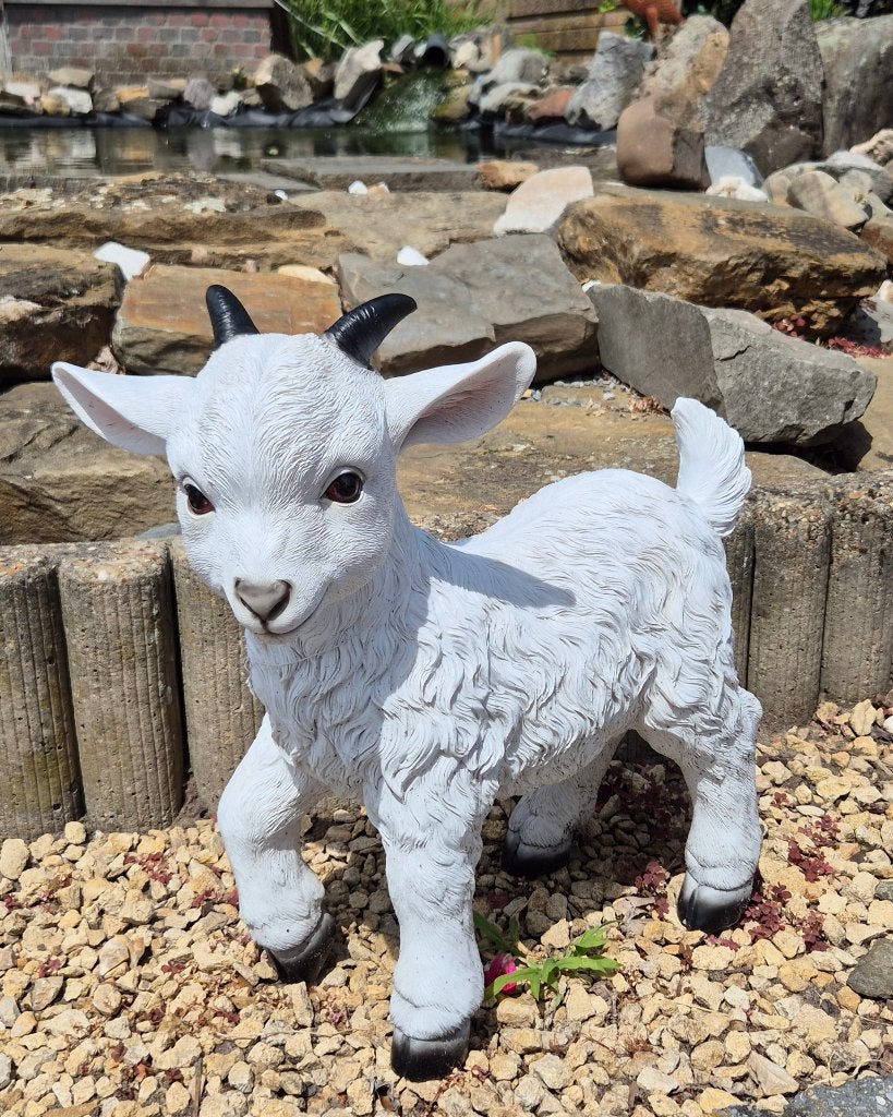 Polyester bokje , tuinbeeld, Ophalen, Nieuw, Kunststof, Dierenbeeld