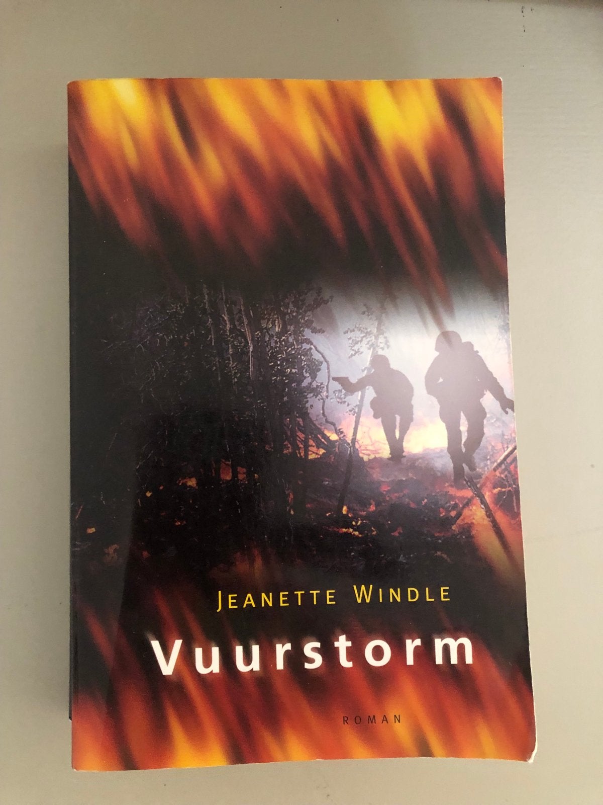 Vuurstorm - Jeanette Windle (Roman), Boeken, Ophalen of Verzenden, Gelezen, Nederland