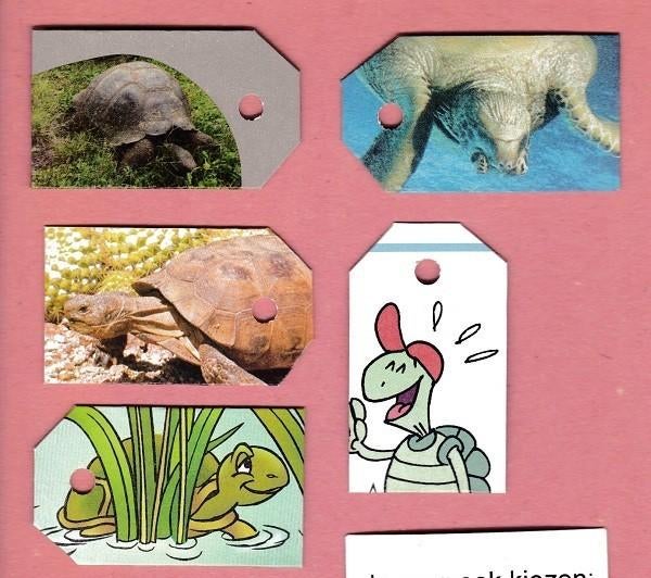 0147) schildpadden labeltjes, Verzamelen, Dierenverzamelingen, Zo goed als nieuw, Overige typen, Ophalen of Verzenden