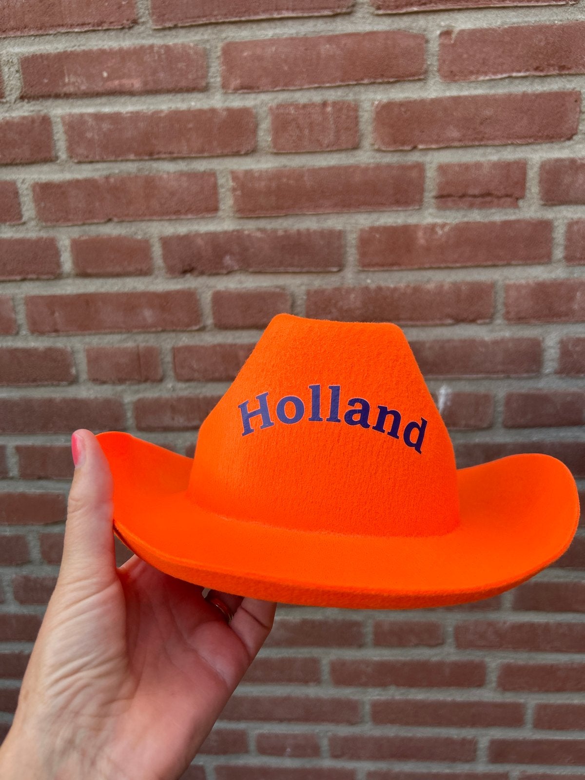 Oranje Holland Cowboyhoed - Feestelijke Hoed, Ophalen of Verzenden, Zo goed als nieuw, One size fits all, Hoed