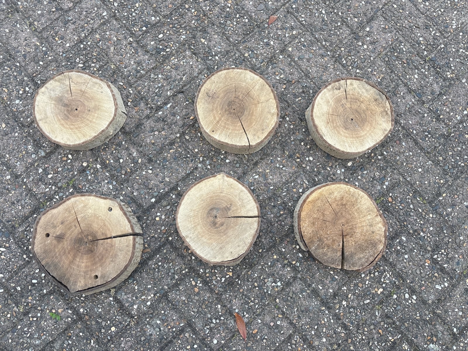 Houten schijven / boomstammetjes - decoratie of knutselhout, Ophalen, Gebruikt, Hout, Overige typen