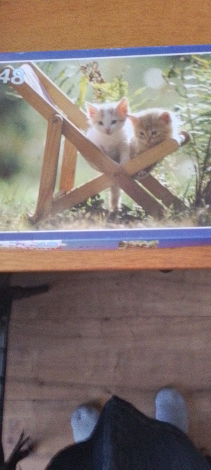 puzzel 48stukjes compleet, Hobby en Vrije tijd, Ophalen of Verzenden