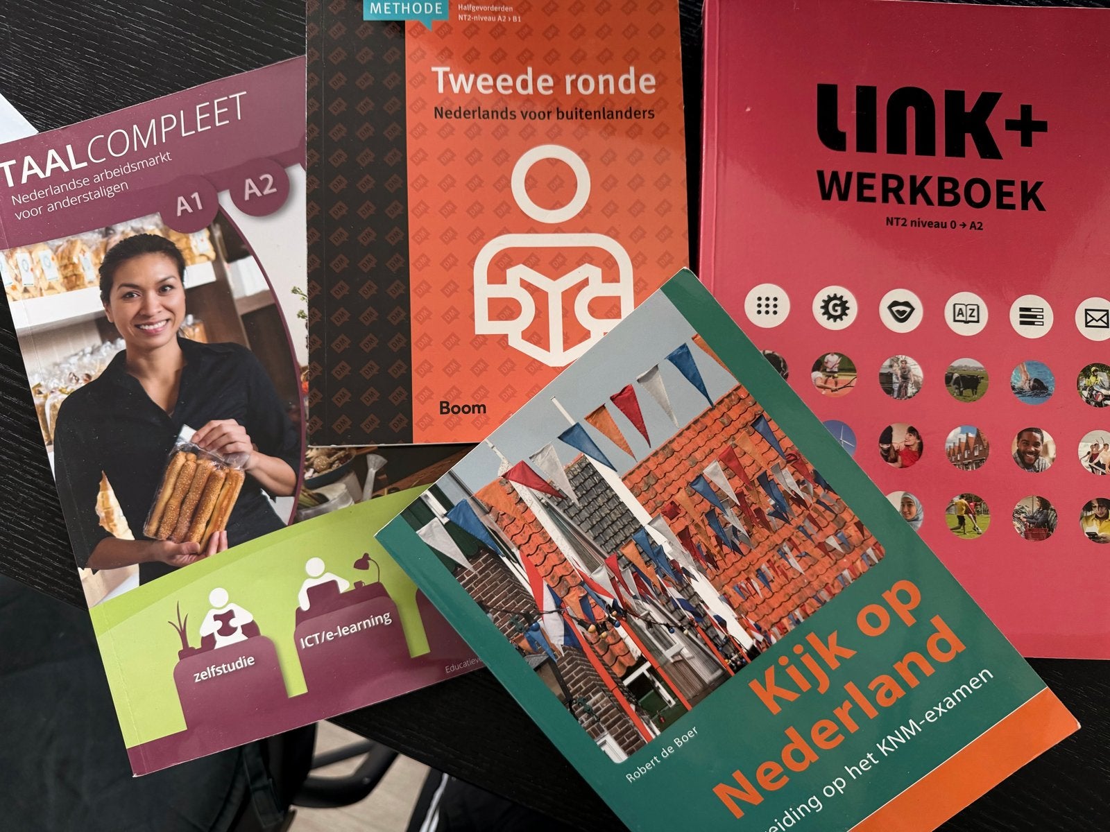 DUTCH LANGUAGE BOOKS, Boeken, Studieboeken en Cursussen, Ophalen of Verzenden, Alpha, Gelezen, Overige niveaus