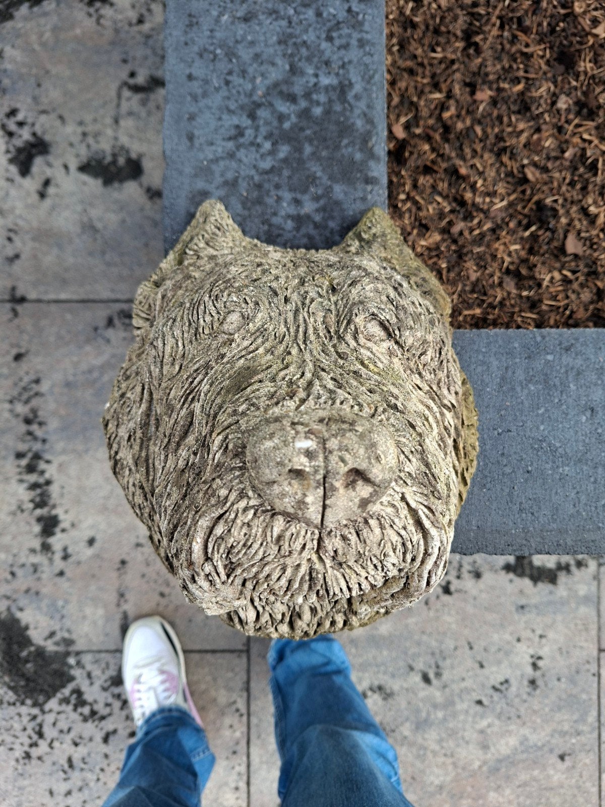 Betonnen Bouvier Hondenkop Tuinbeeld, Ophalen, Gebruikt, Beton, Dierenbeeld