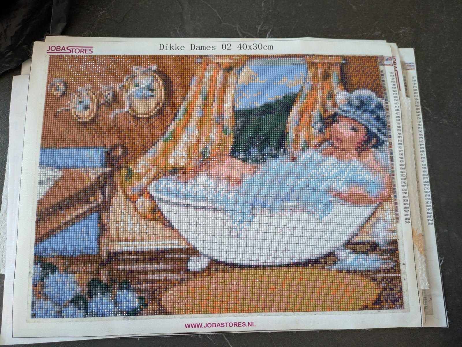 Diamond Painting 'Dikke Dames 02' - 40x30cm, Ophalen of Verzenden