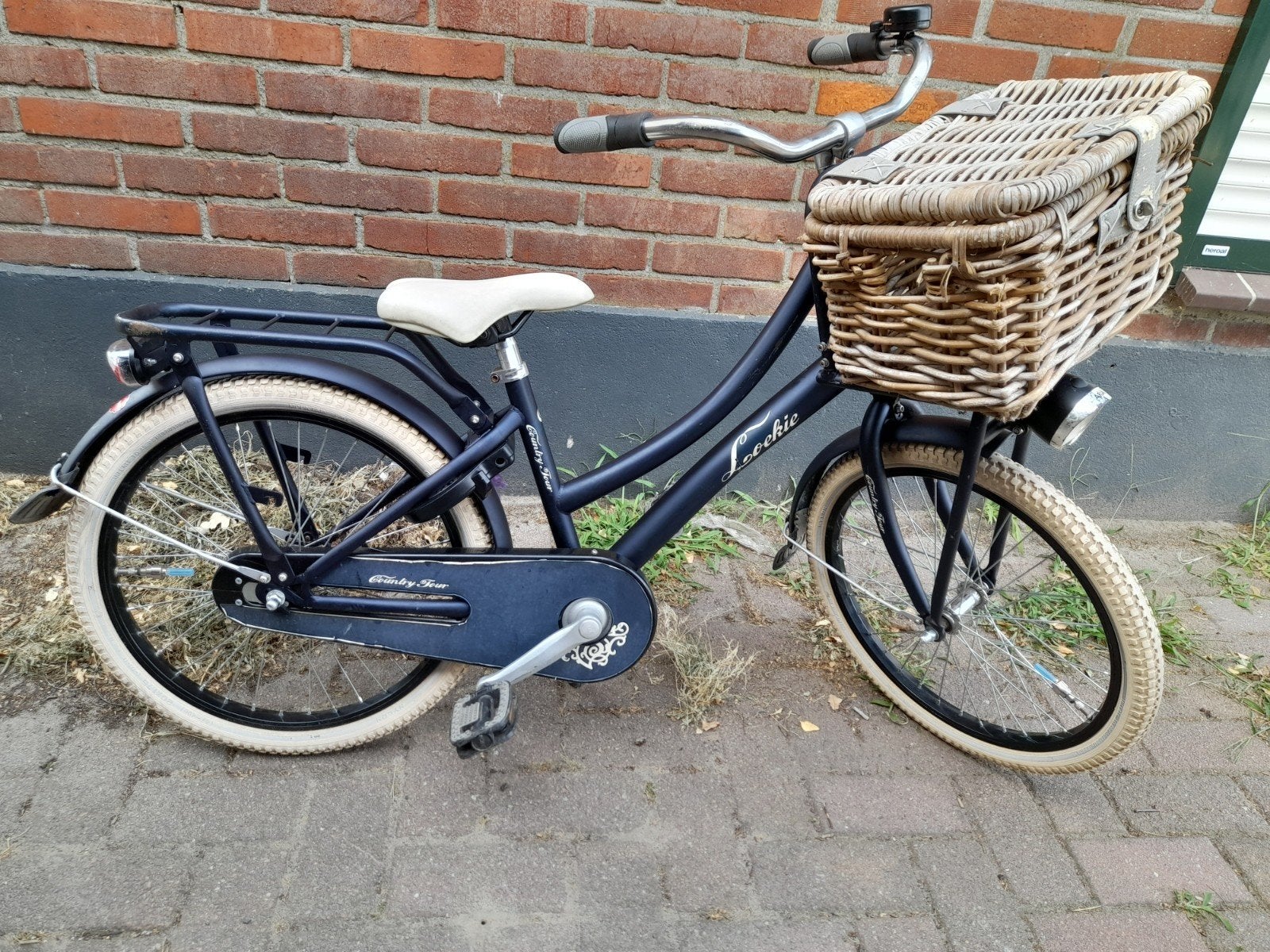 Loekie kinderfiets 20 inch met mand, Ophalen, Terugtraprem, Gebruikt, Loekie