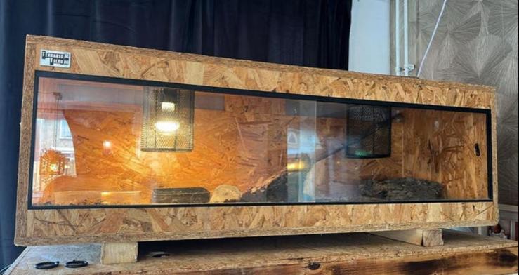 Terrarium 120x40x40 met Ballpython, Dieren en Toebehoren, Reptielen en Amfibieën, Slang, 0 tot 2 jaar