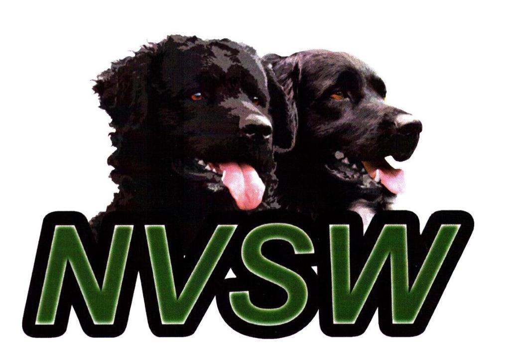 Stabij pups met stamboom, Parvo, Overige rassen, 8 tot 15 weken, Meerdere