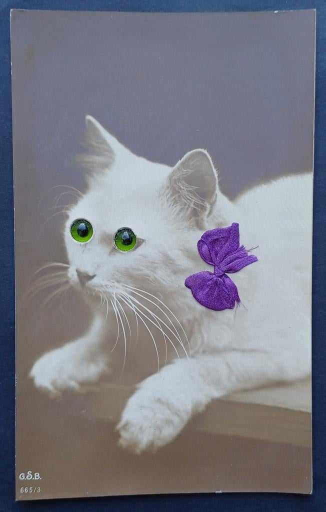 Antieke ansichtkaart kat met oogjes van glas, Ophalen of Verzenden, 1980 tot heden, Overige thema's