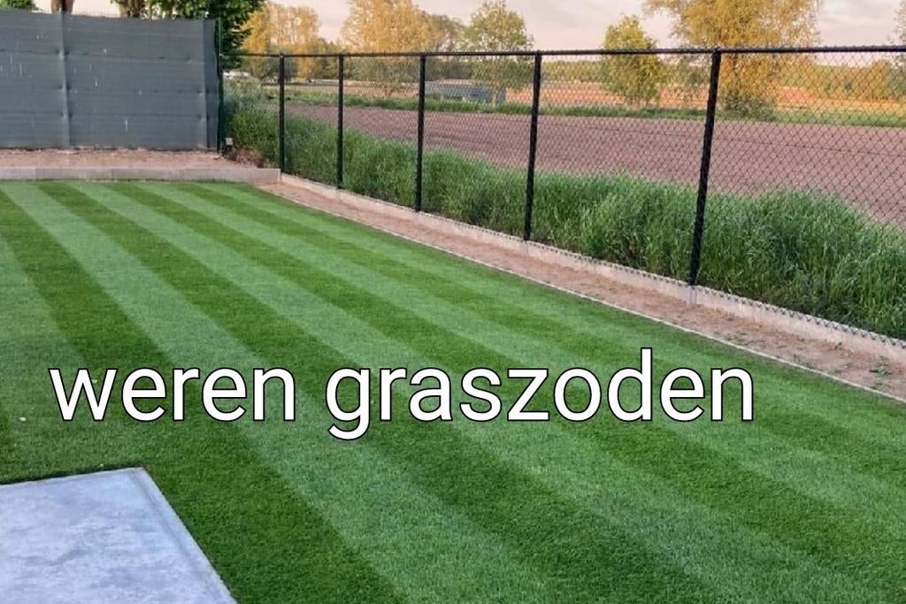 Graszoden / Grasmatten - Nieuw, Ophalen of Verzenden, Nieuw, 20 m² of meer, Gras