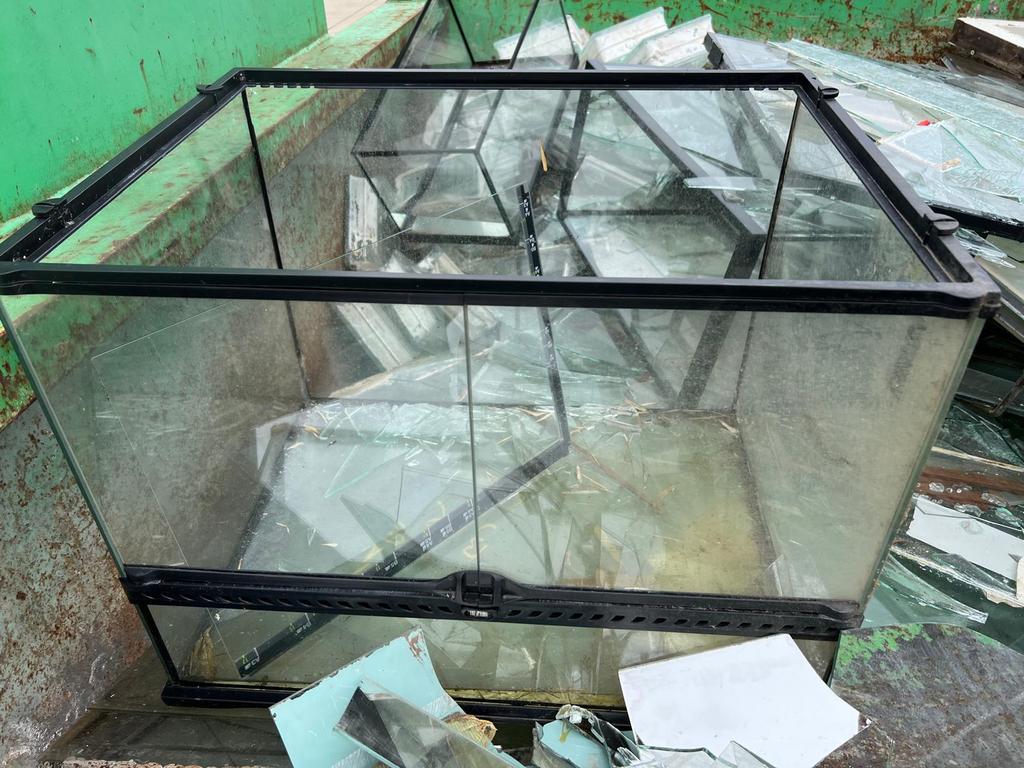 Ik neem gratis terrariums over, Ophalen of Verzenden, Gebruikt, Terrarium of Paludarium