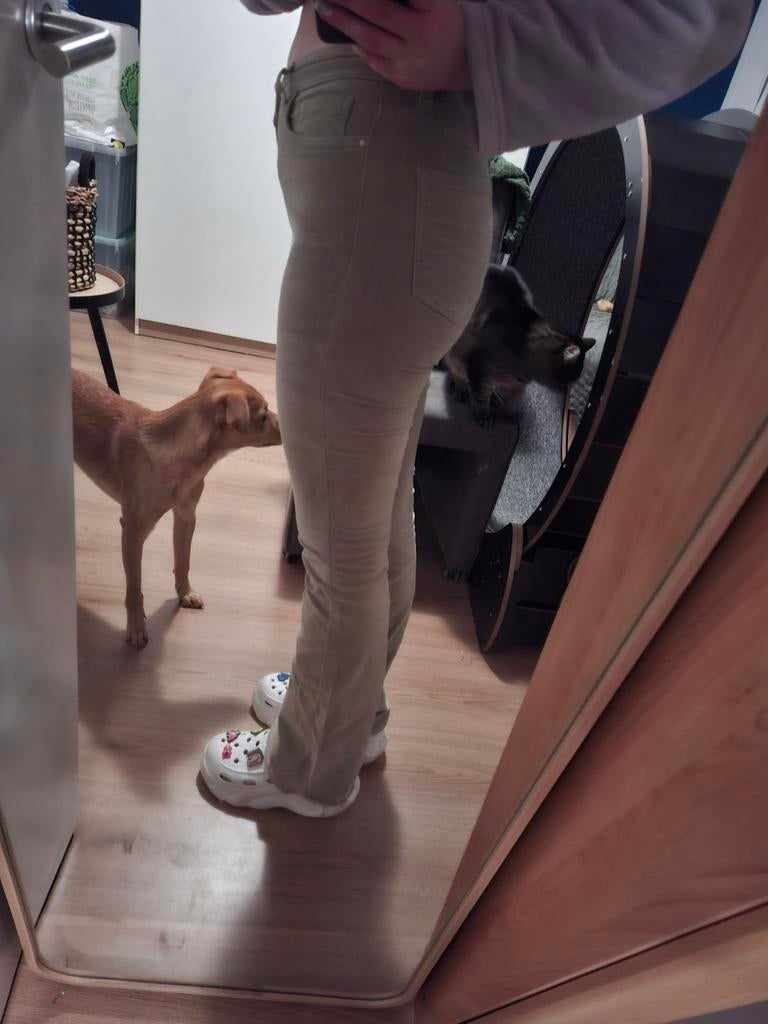 Costes Rebel flared broek - maat S/M, Kleding | Dames, Broeken en Pantalons, Ophalen of Verzenden, Maat 36 (S), Lang, Gedragen