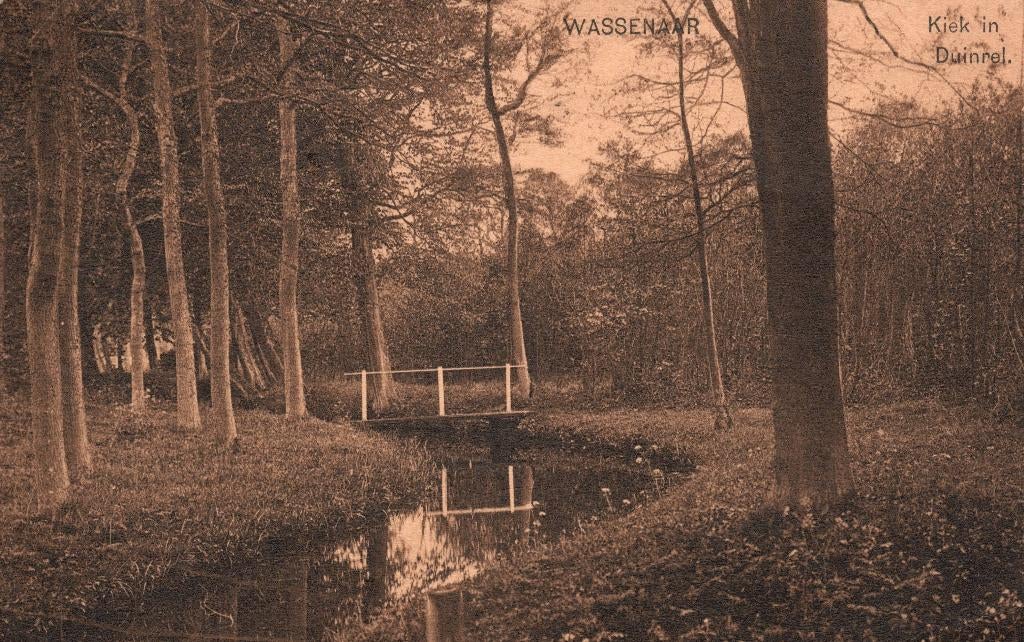 Wassenaar Kiek in Duinrel (1922) 130983, Ophalen of Verzenden, 1920 tot 1940, Gelopen, Zuid-Holland