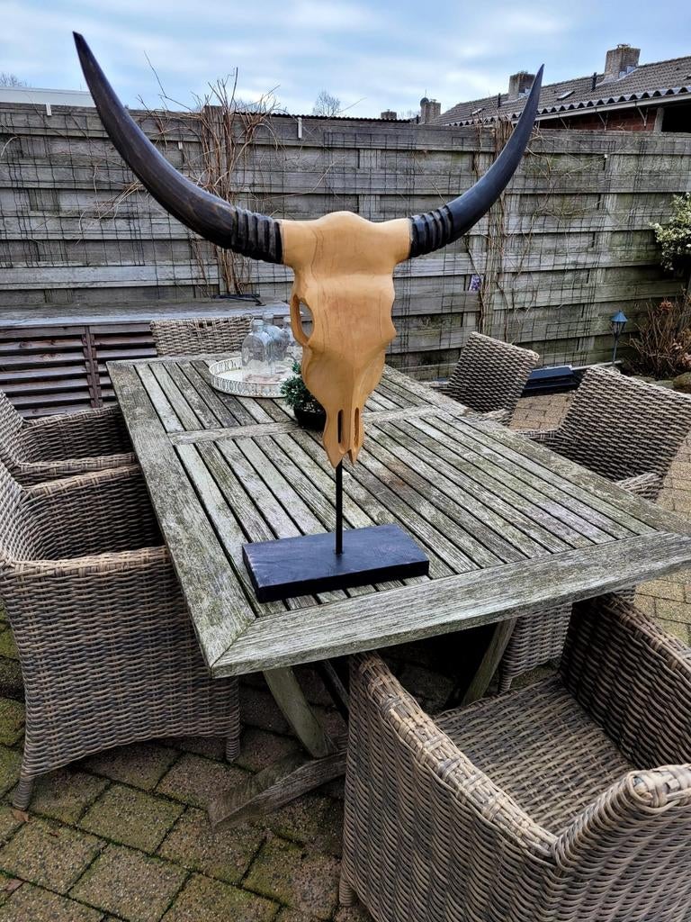 Skull op voet, Ophalen of Verzenden