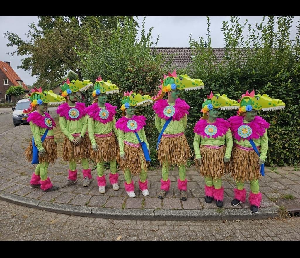 Karnaval, krokodillen pakken, Ophalen, Zo goed als nieuw, Carnaval