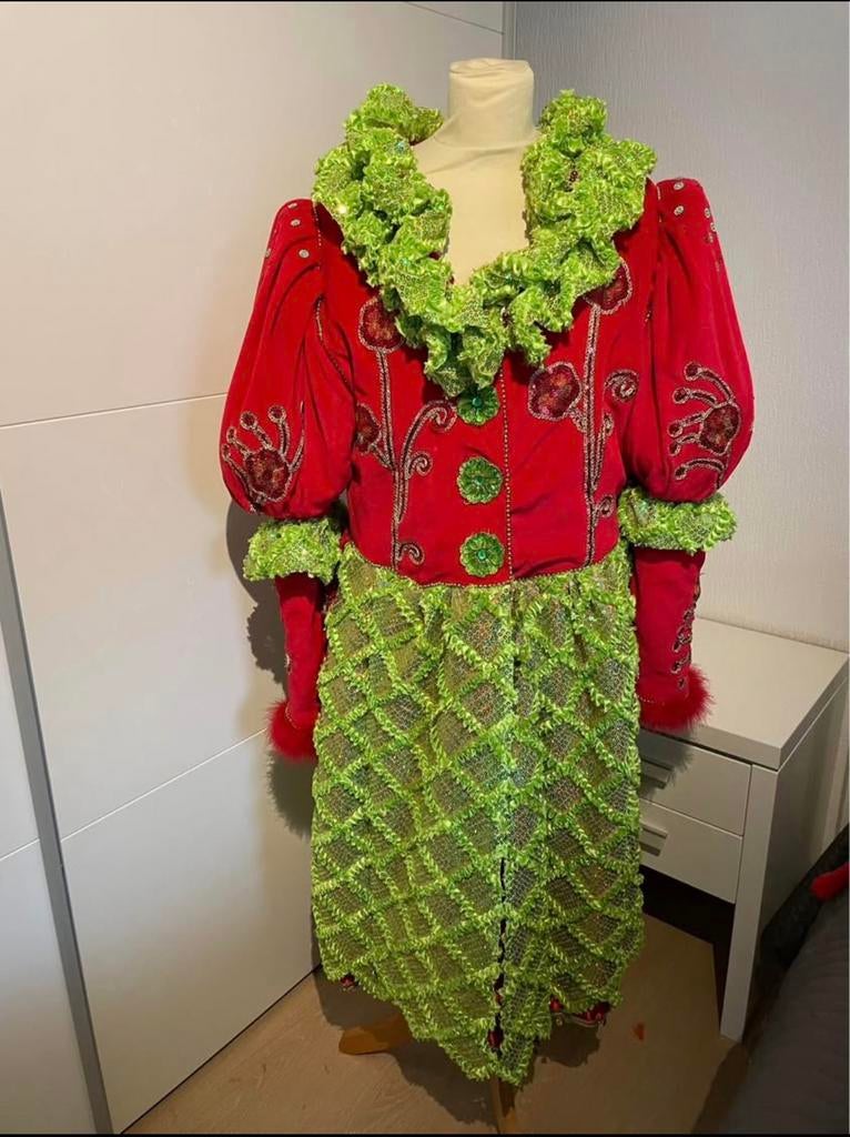 Dames carnavals jas met hoofdtooi en lampjes maat 38-40, Ophalen of Verzenden, Zo goed als nieuw, Maat 38/40 (M), Carnaval