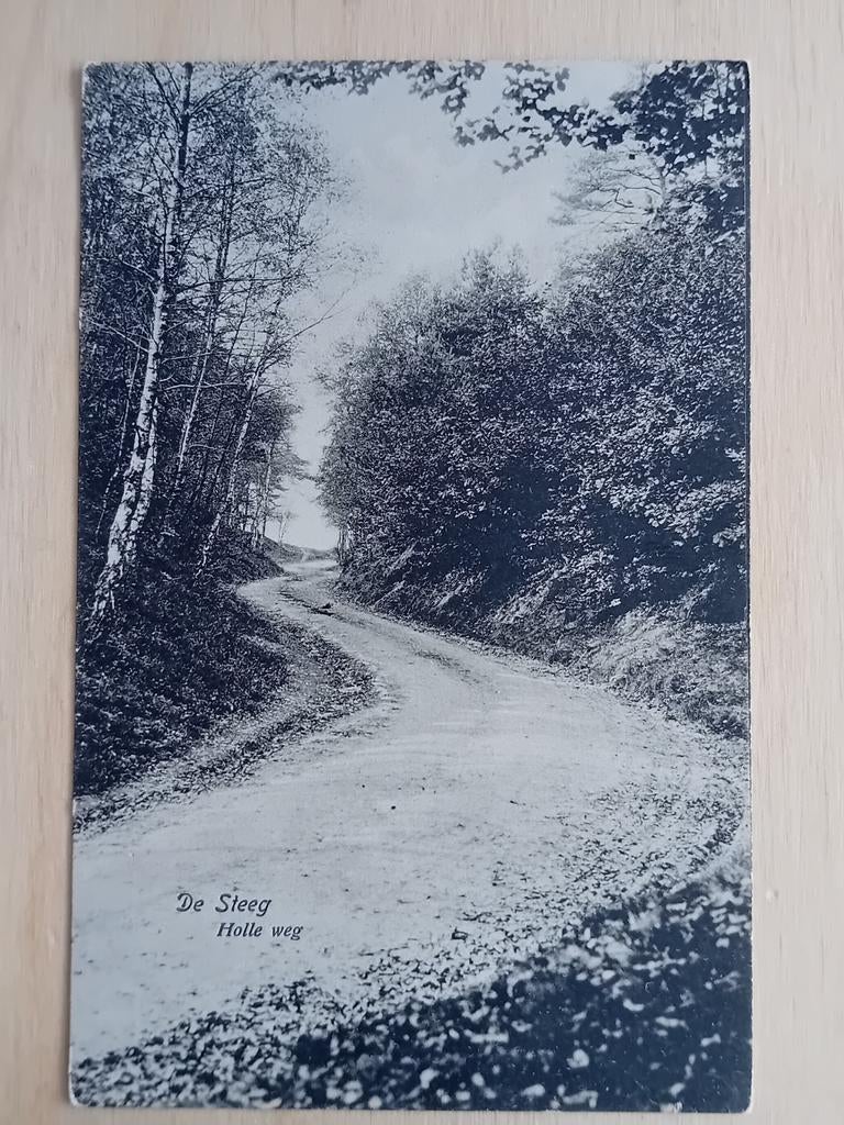 Ansichtkaart De Steeg, Ophalen of Verzenden, Voor 1920, Gelderland