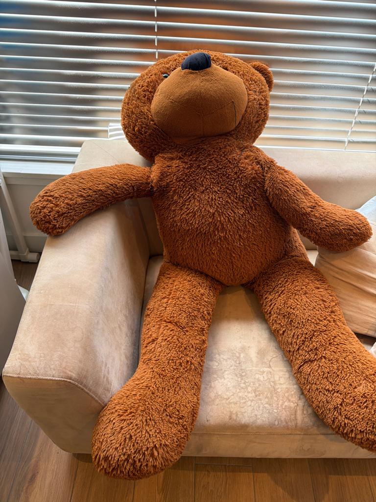 Grote bruine teddybeer - knuffelbeer, Ophalen, Gebruikt, Beer, Bruin