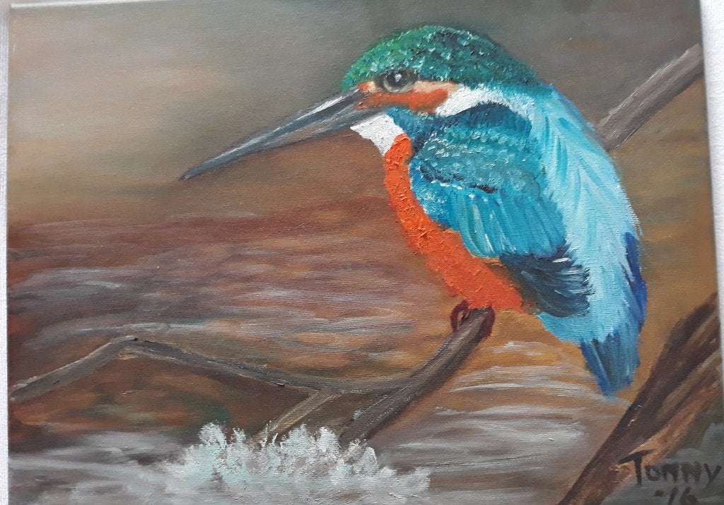 Ijsvogel, Ophalen of Verzenden