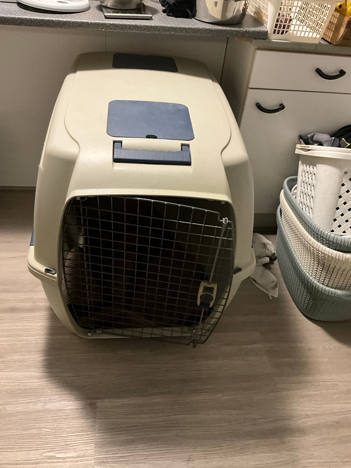 Reisbench grote hond, Dieren en Toebehoren, Ophalen, Gebruikt