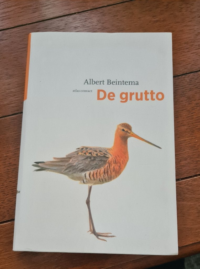 Albert Beintema - De Grutto, Boeken, Verzenden, Nieuw, Albert Beintema, Nederland