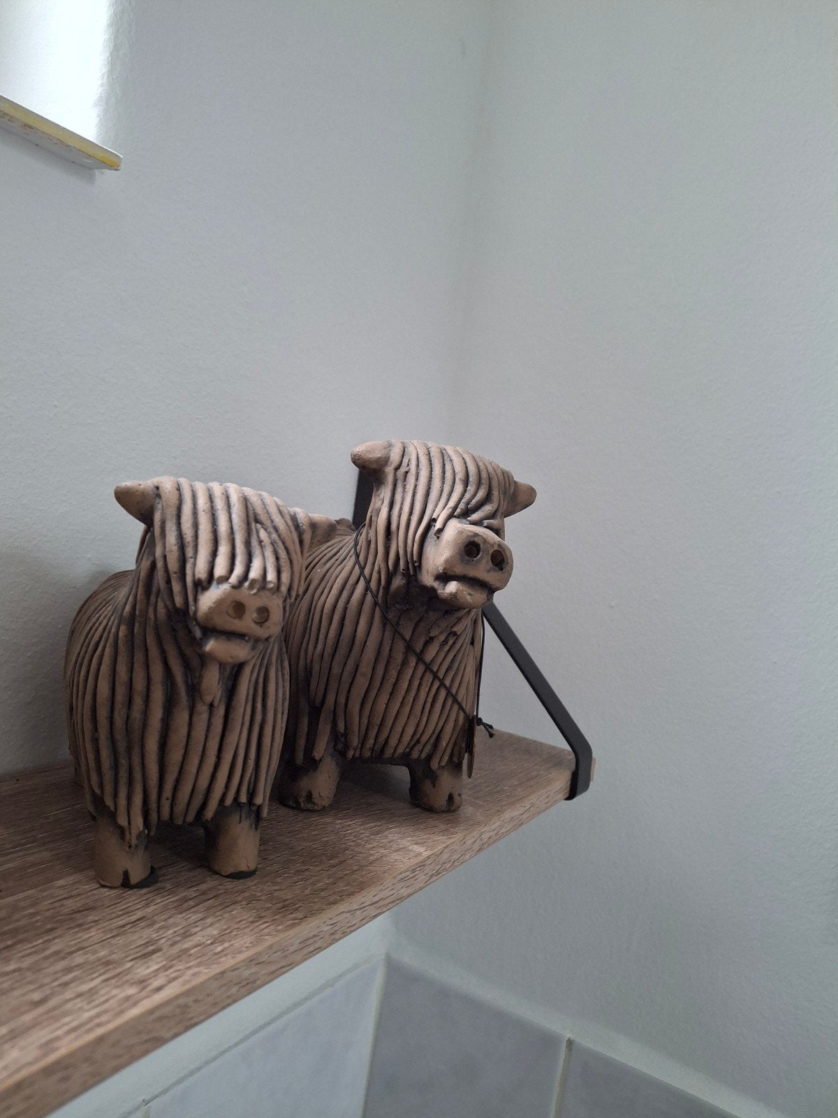 Zgan nieuw twee leuke schotse hooglanders, Ophalen