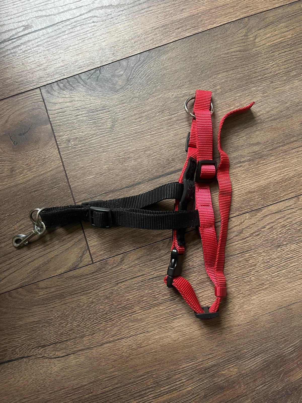 Halti honden tuig - maat S, Dieren en Toebehoren, Honden-accessoires, Ophalen of Verzenden, Gebruikt, Hondentuig