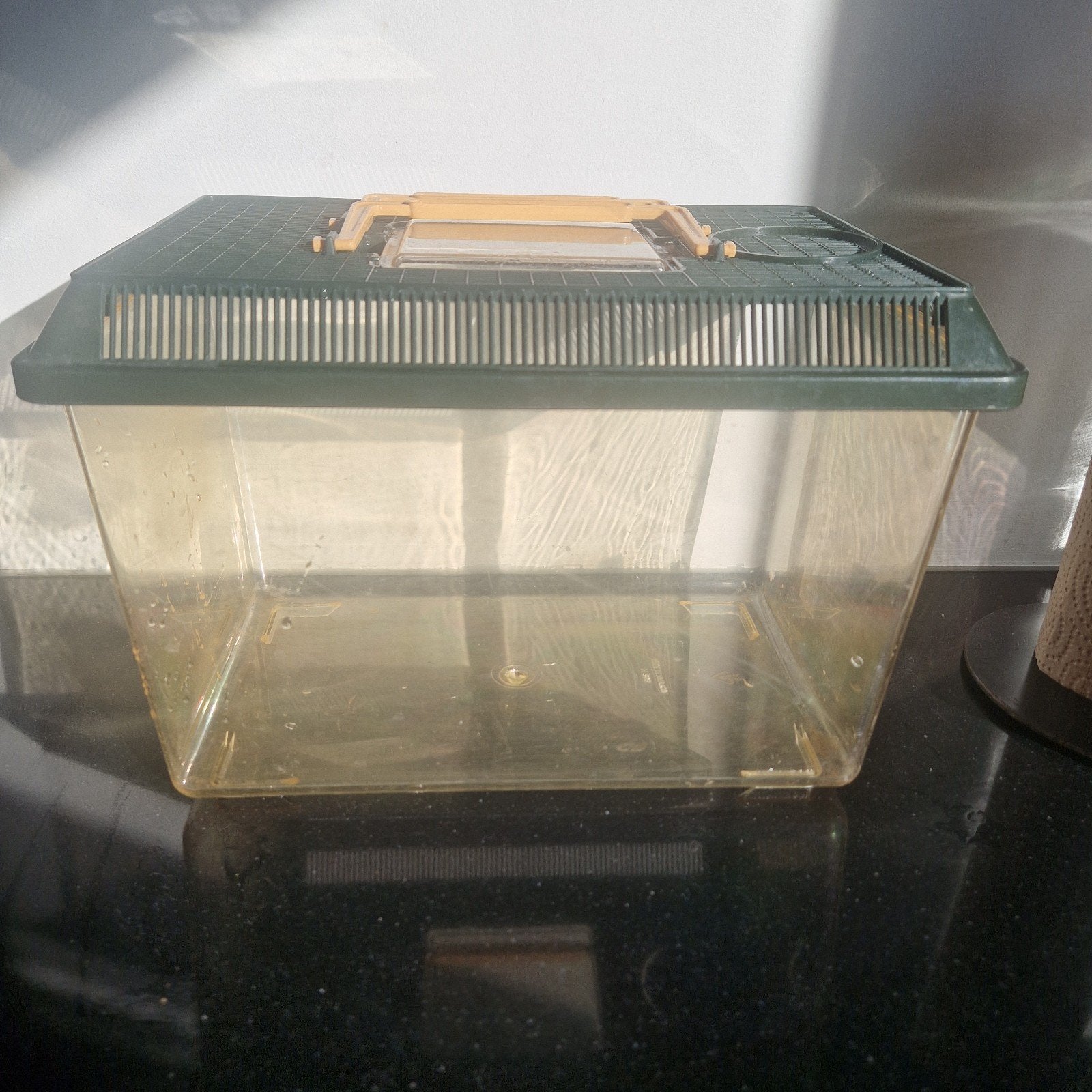 Klein terrarium, Dieren en Toebehoren, Ophalen