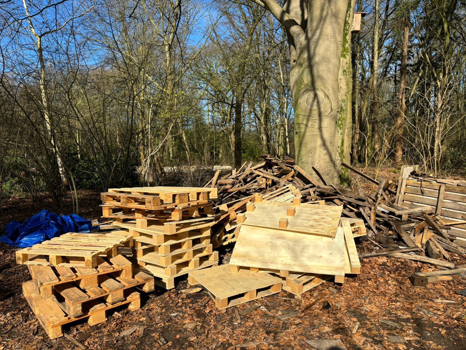 Afval hout gezocht, 3 tot 6 m³