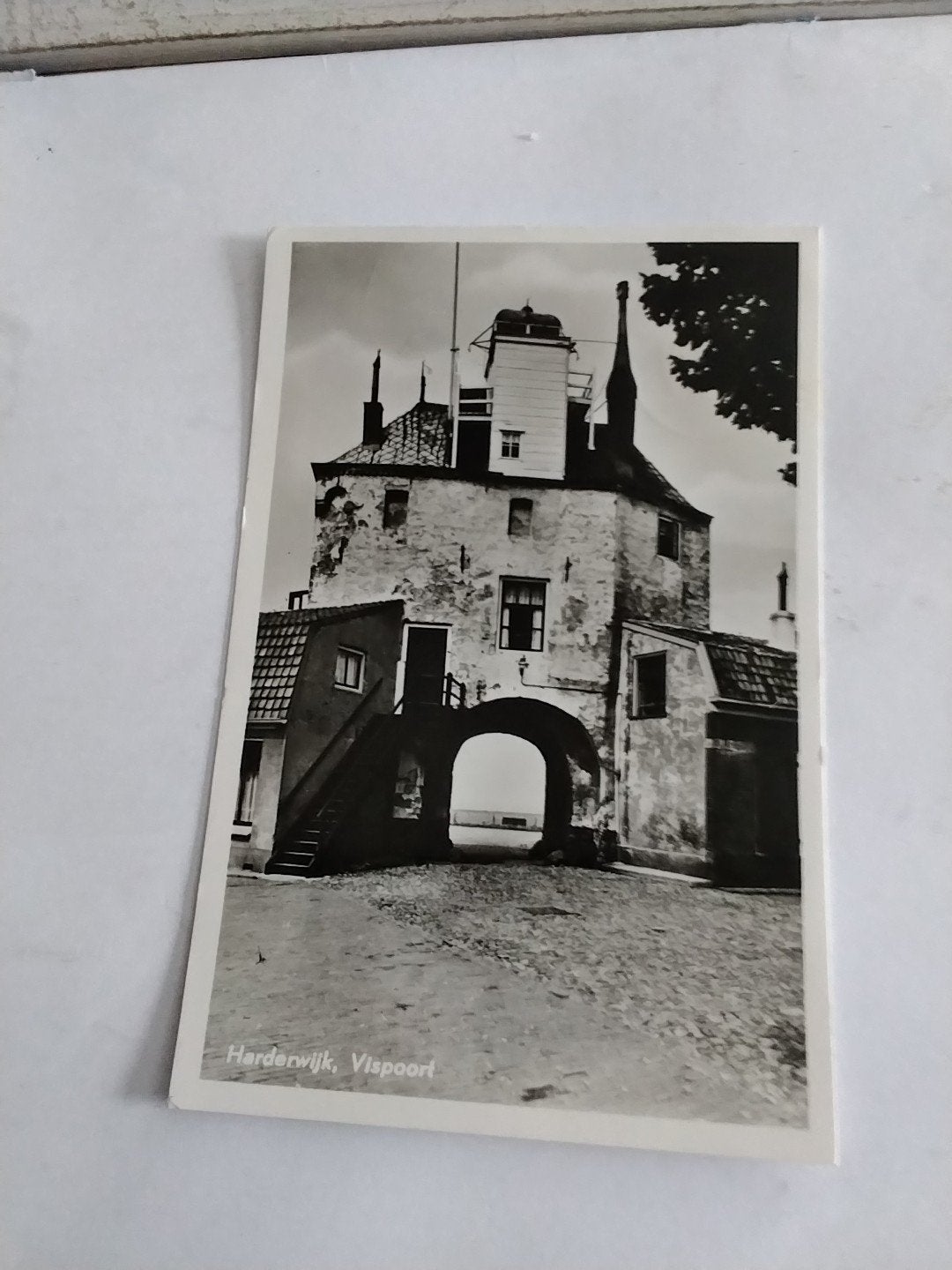 HARDERWIJK    VISPOORT, Ophalen of Verzenden, Voor 1920, Gelderland