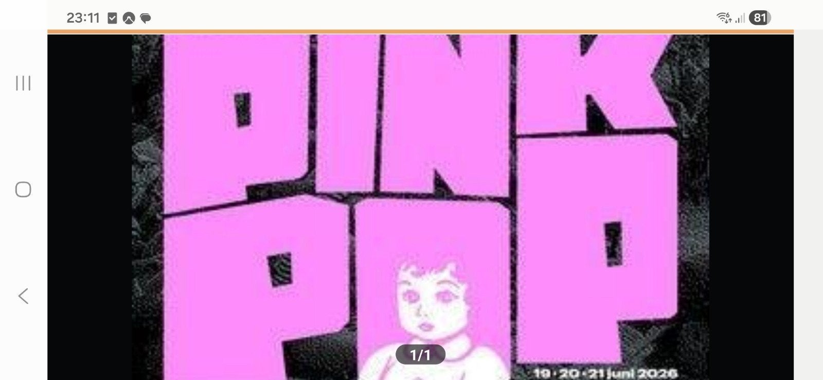 Pinkpop zaterdag 20 juni 1 ticket, Eén persoon