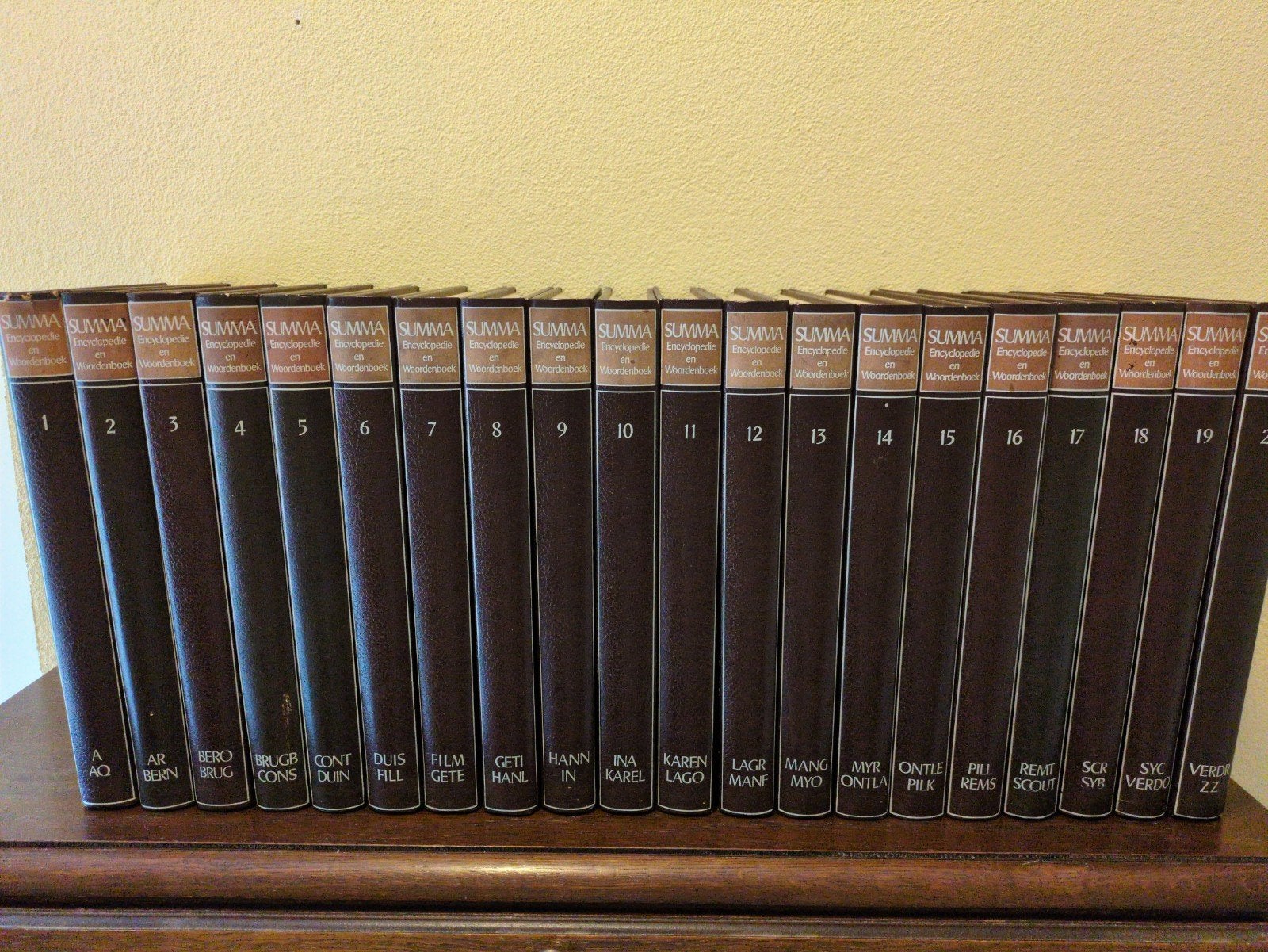 Summa Encyclopedie en Woordenboek - Complete Serie, Boeken, Encyclopedieën, Complete serie, Algemeen, Diverse Auteurs, Ophalen