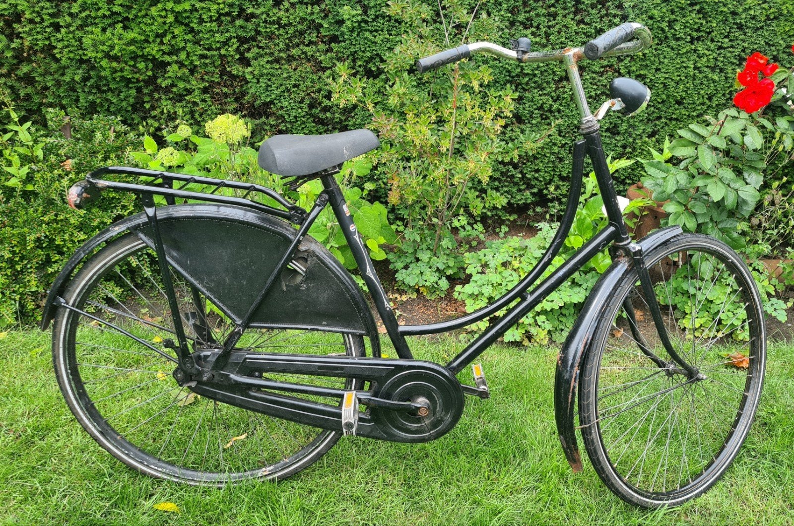 Batavus Omafiets Frame Maat 56 - Ideaal voor school/kroeg, Ophalen, Terugtraprem, Gebruikt, Batavus