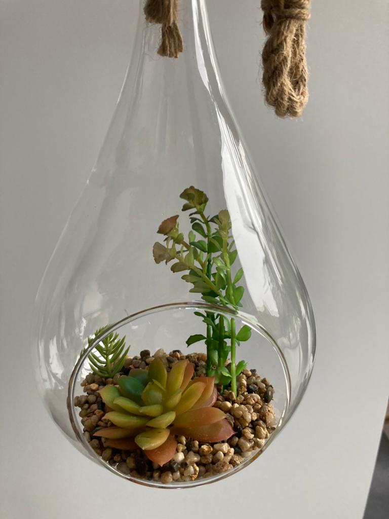 Planten terrarium met touw - decoratie - vetplanten, Ophalen, Nieuw