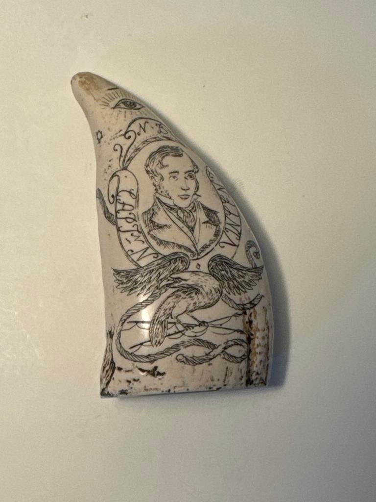 Vintage Scrimshaw Replica Potvis Tand - Stenrofjord, Ophalen of Verzenden