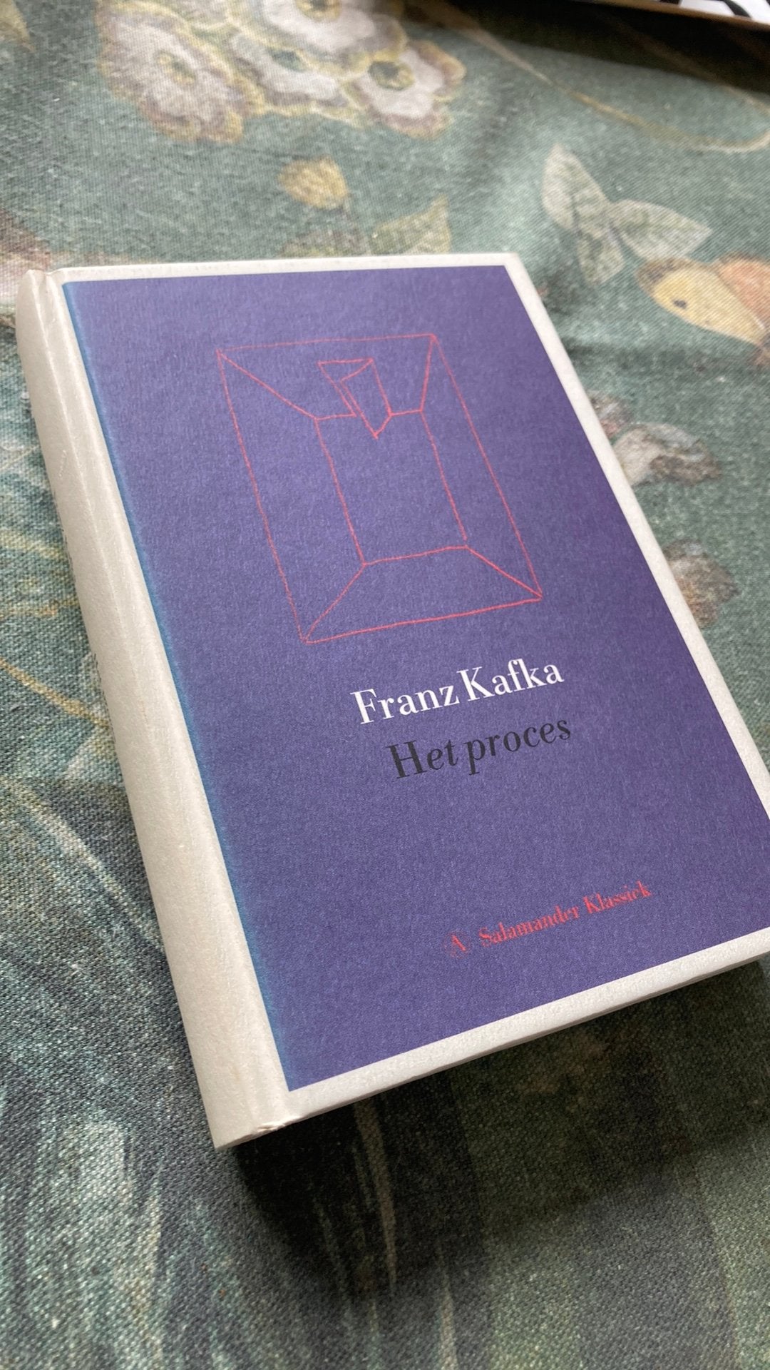 Franz Kafka - Het proces. (Klassieker!) -koopje-, Boeken, Gelezen, Ophalen of Verzenden, Nederland, Franz Kafka