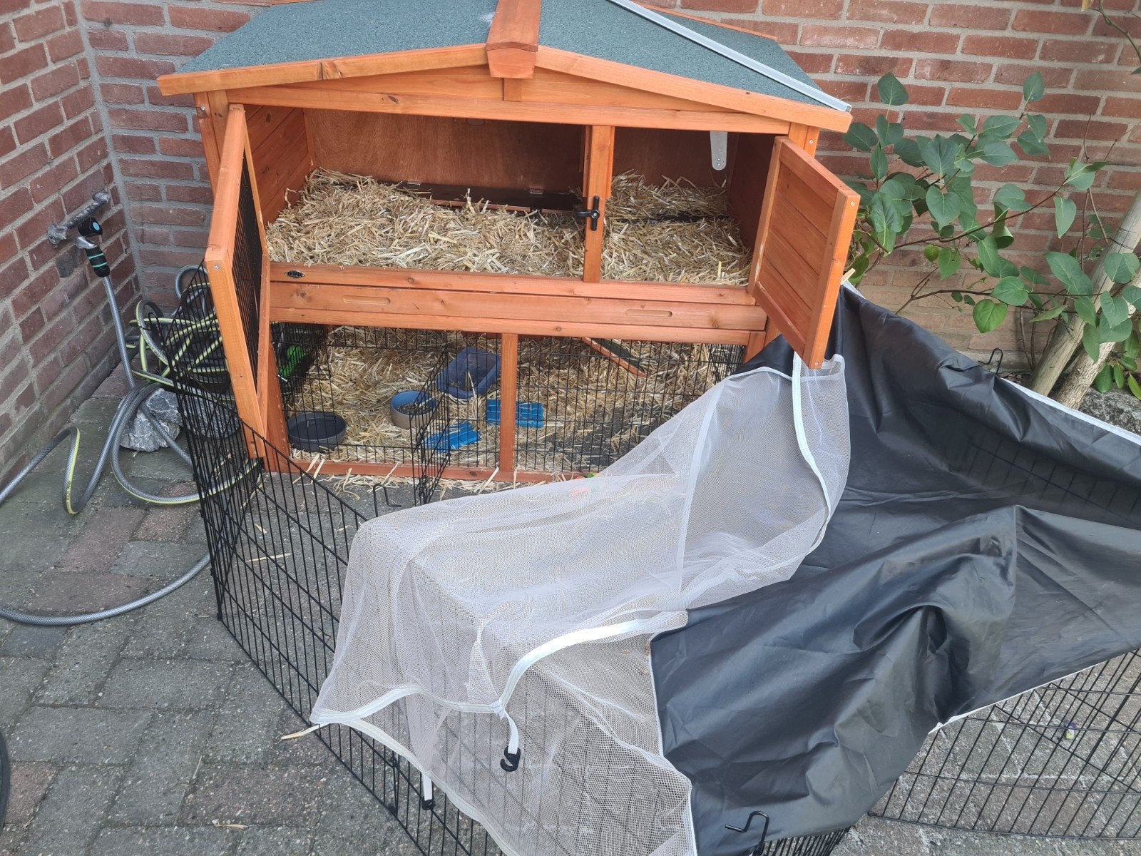 konijnhok inclusief 2 konijnen, Ophalen, 110 cm of meer, Zo goed als nieuw, 90 cm of meer