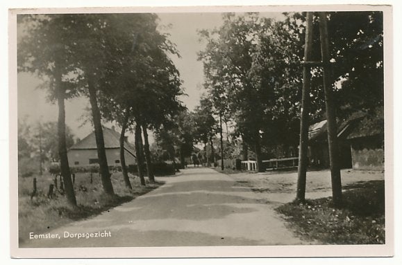 Eemster, Dorpsgezicht, Verzamelen, Ophalen of Verzenden, 1940 tot 1960, Ongelopen, Drenthe