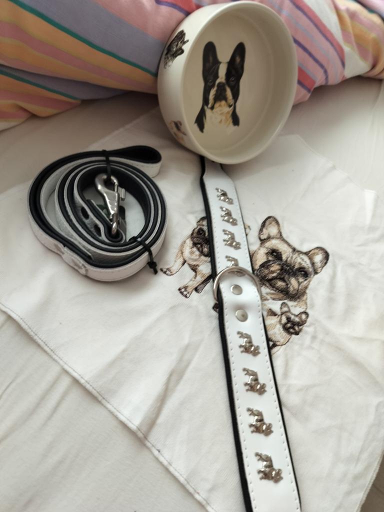 Franse bulldog set nieuw halsband  55 cm riem en voer bakje, Verzenden, Handgemaakt, Nieuw