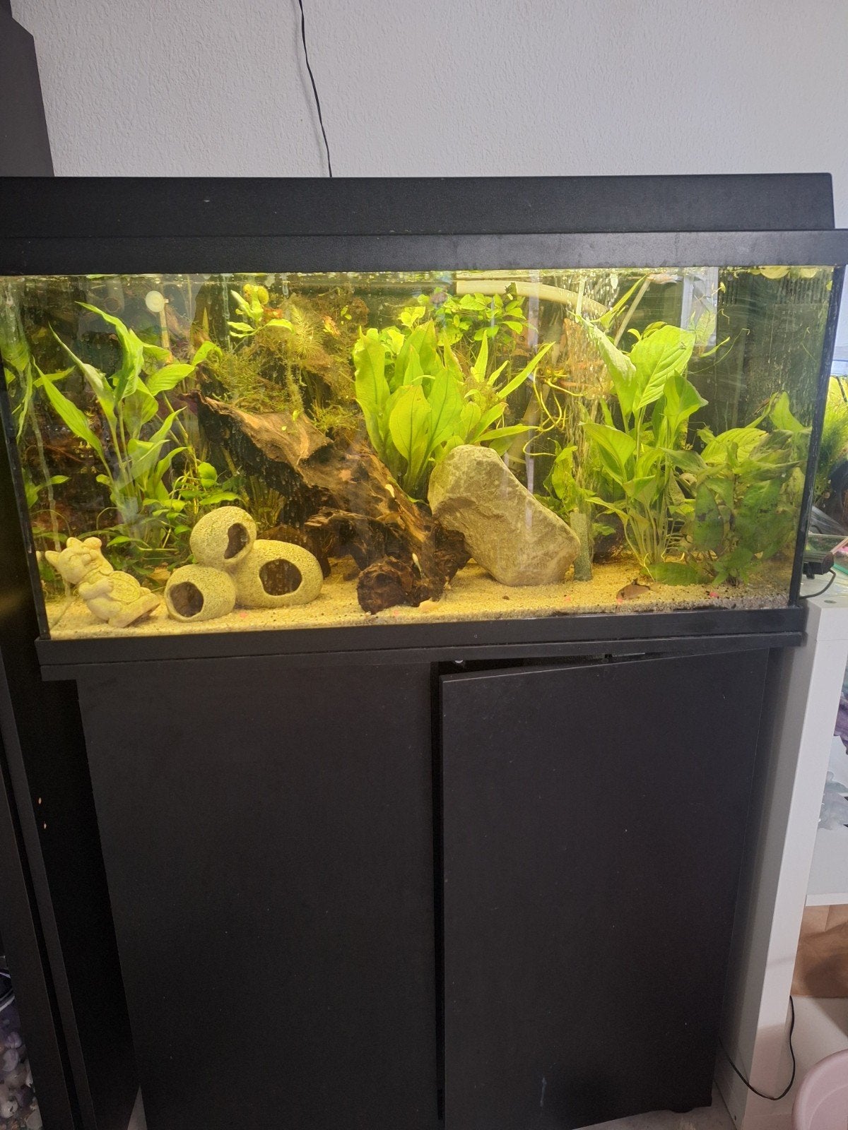 Juwel aquarium, Ophalen, Leeg aquarium