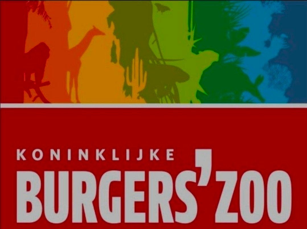 Koninklijke Burgers’ Zoo tot wel € 11 kortingsvoucher, Tickets en Kaartjes, Eén persoon, Kortingskaart