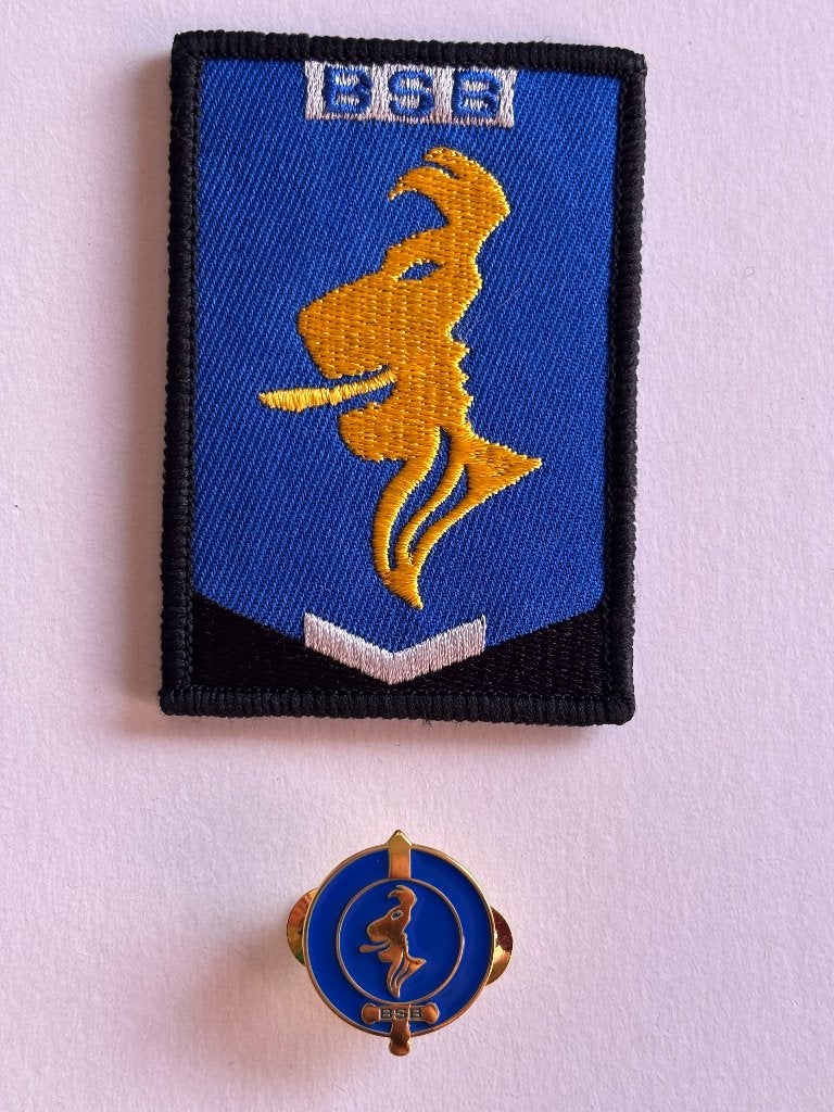 BSB patch en BSB speld, Verzenden, Luchtmacht, Nederland, Kleding of Schoenen